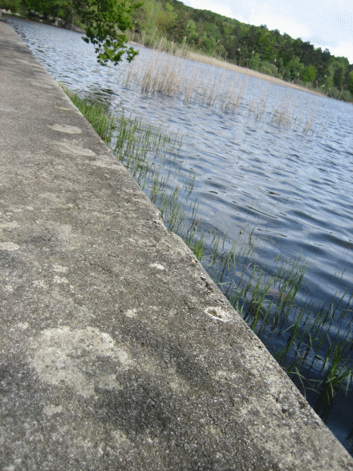 Lac du merle, chemin du retour.