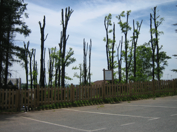 Aire de jeux.