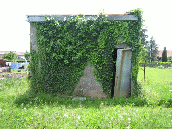 Cabane.