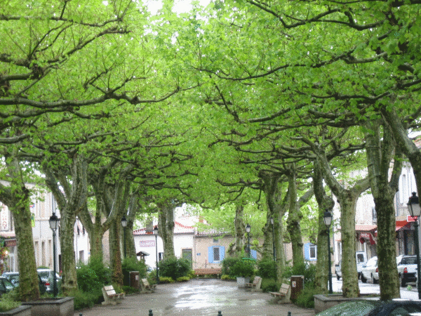 La Place des Promenades.