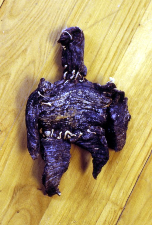 Sculpture 347