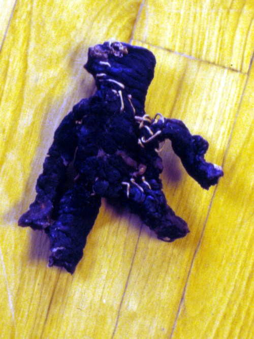 Sculpture 348
