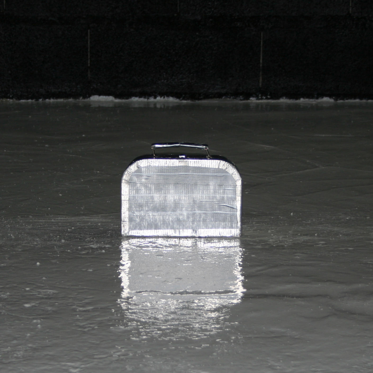 sculpture confi&eacute;e 831 ; photographie Michel Buono