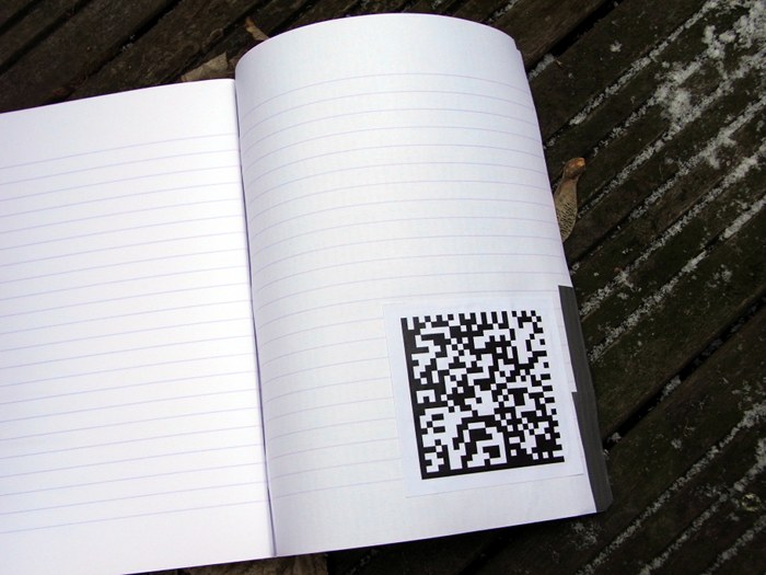 Sculpture confi&eacute;e 799